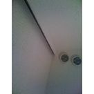 IMG 0216