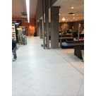 IMG 0446